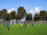 S.K.N.W.K. JO11-1JM - Colijnsplaatse Boys JO11-1 (competitie) seizoen 2022-2023 (najaar - 1e fase)) (6/69)